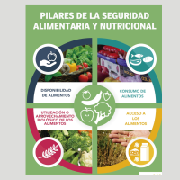 Seguridad Alimentaria Nutricional